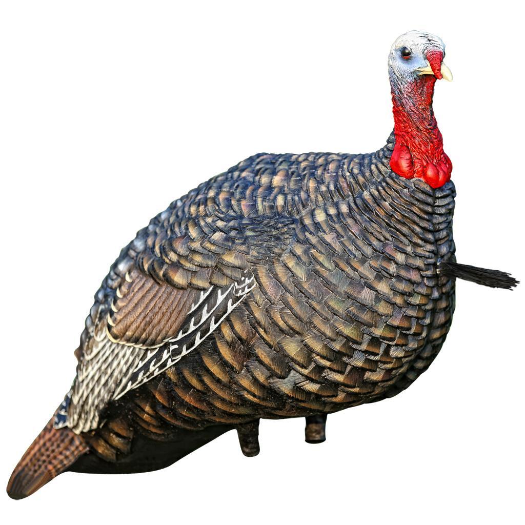 Avian X Quarter Strut Jake Turkey DecoyAvian X turkey decoys Hunting Bow